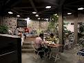 Triveni Terrace Cafe